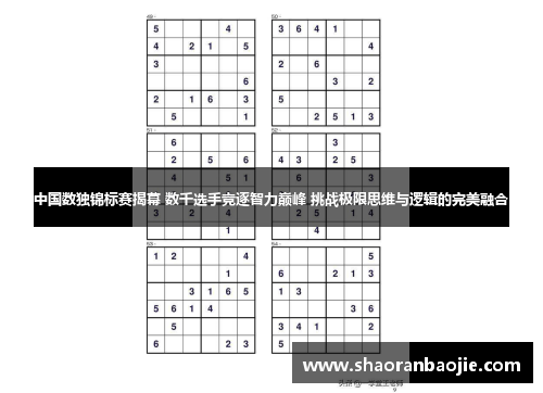 中国数独锦标赛揭幕 数千选手竞逐智力巅峰 挑战极限思维与逻辑的完美融合